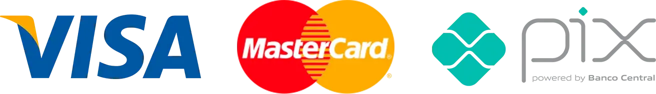Formas de pagamentos aceitas pela empresa. Mastercard, Visa, PIX e outras.